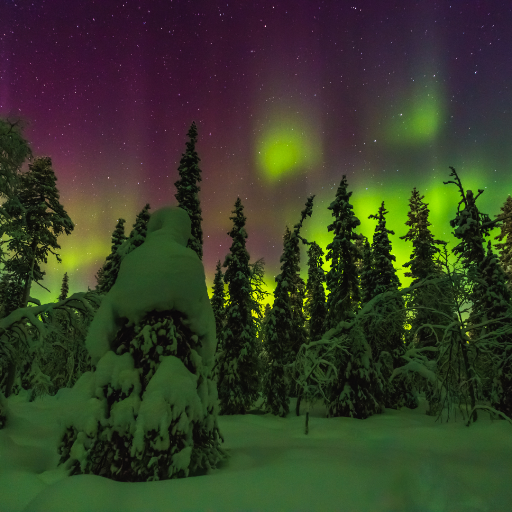 roadtrip au Lapland aurores boréales